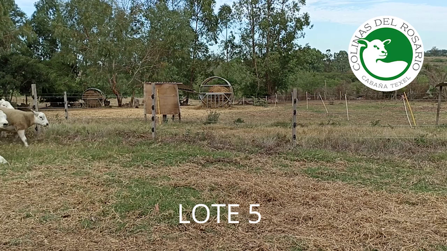 Lote Lote 5 - Colinas del Rosario