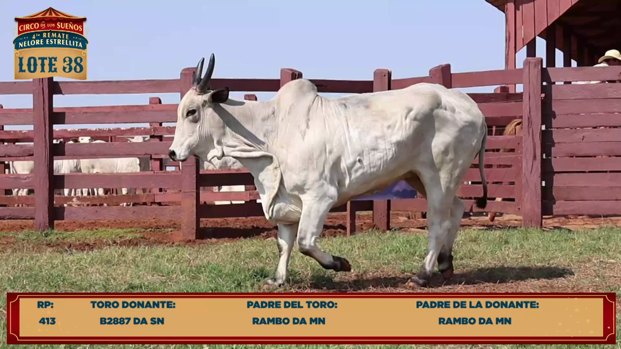 Lote LOTE 38