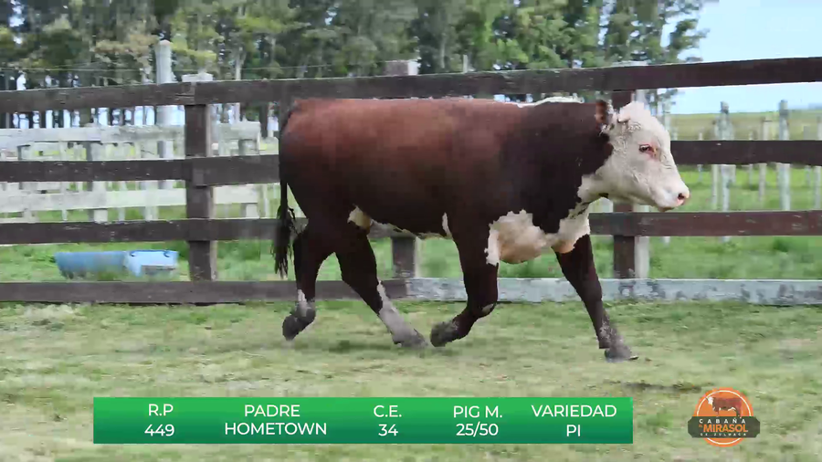 Lote MIRASOL HOMETOWN G-BIFE