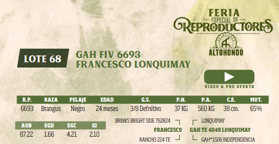Lote LOTE 68