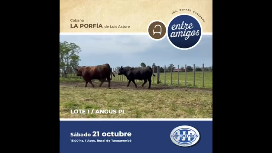 Lote Cabaña La Porfia