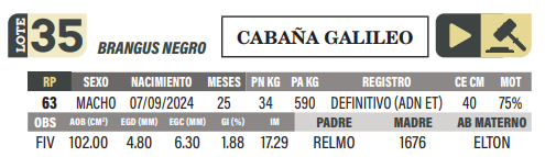 Lote LOTE 35