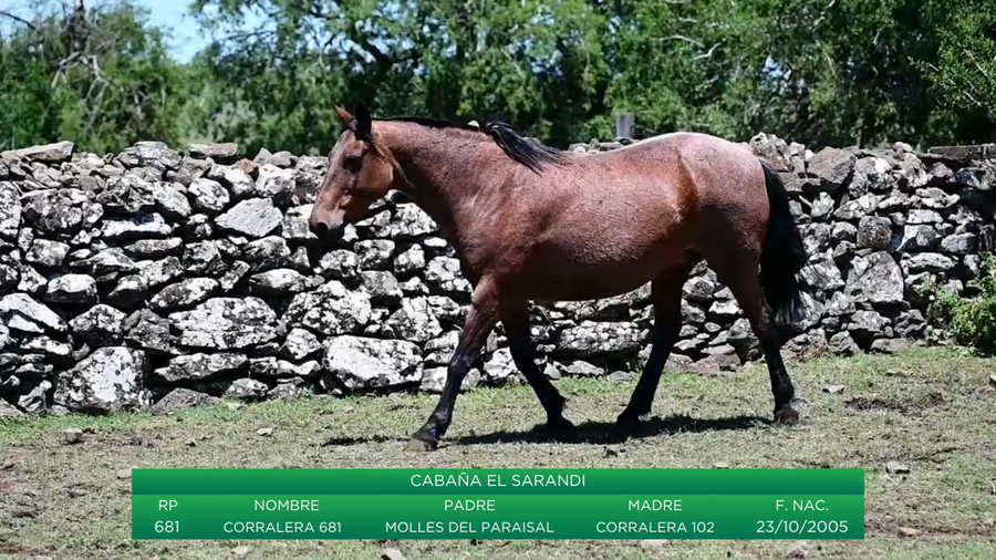 Lote Corralera 681