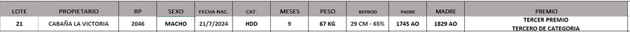 Lote LOTE 21