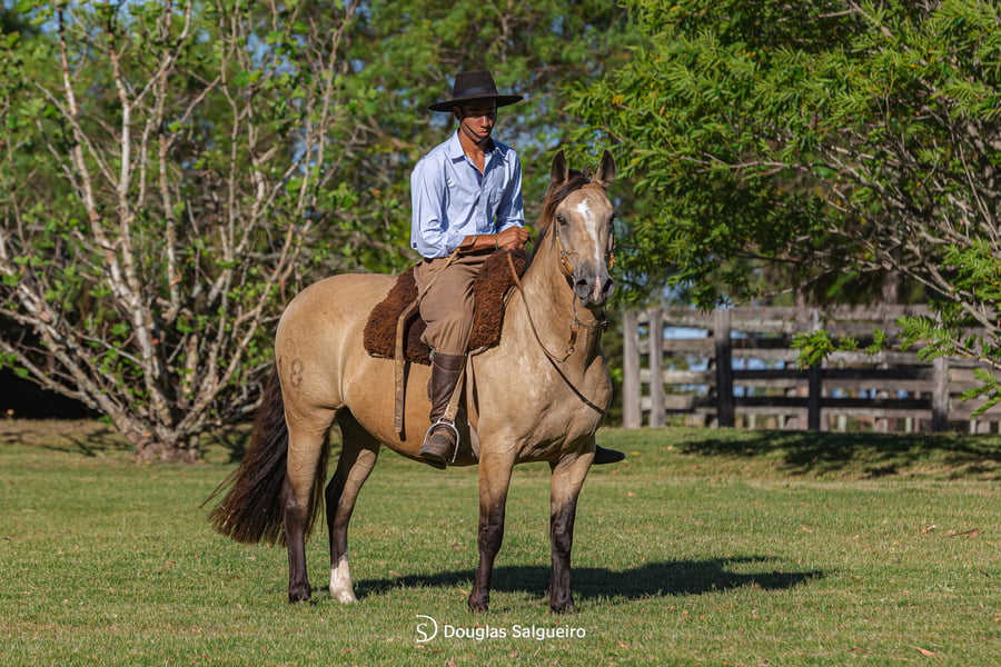 Lote LA SERENA COLINA BLANCA