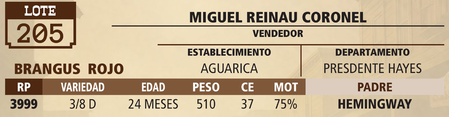 Lote LOTE 205 - PANTALLA