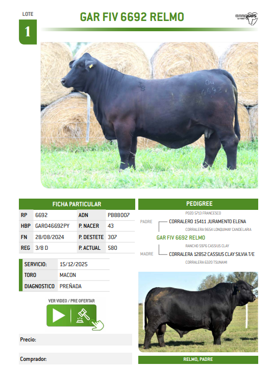 Lote LOTE 1