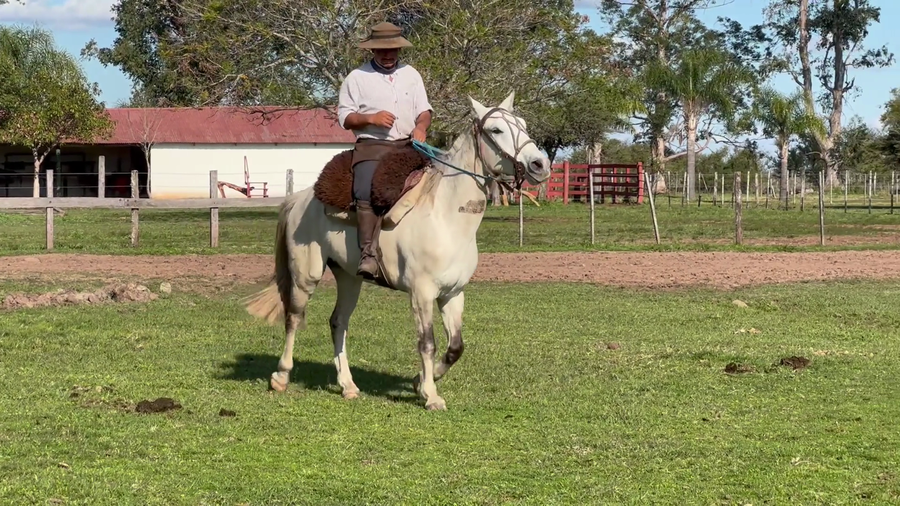 Lote 1 Montados en Corrientes, Curuzú-Cuatiá