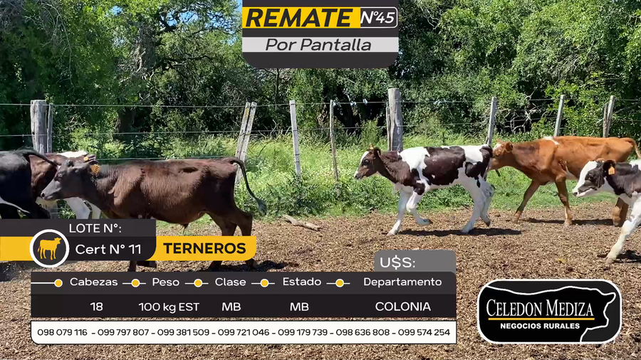 Lote 18 Terneros en Artilleros, Colonia