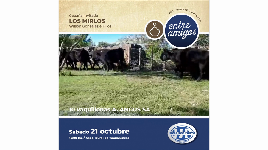 Lote "Cabaña ""Los Mirlos"""