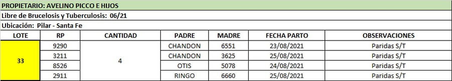 Lote Lote 33 Avelino Picco