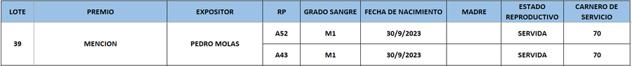 Lote LOTE 39