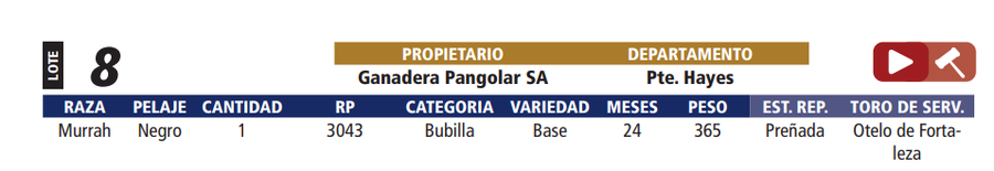 Lote LOTE 8