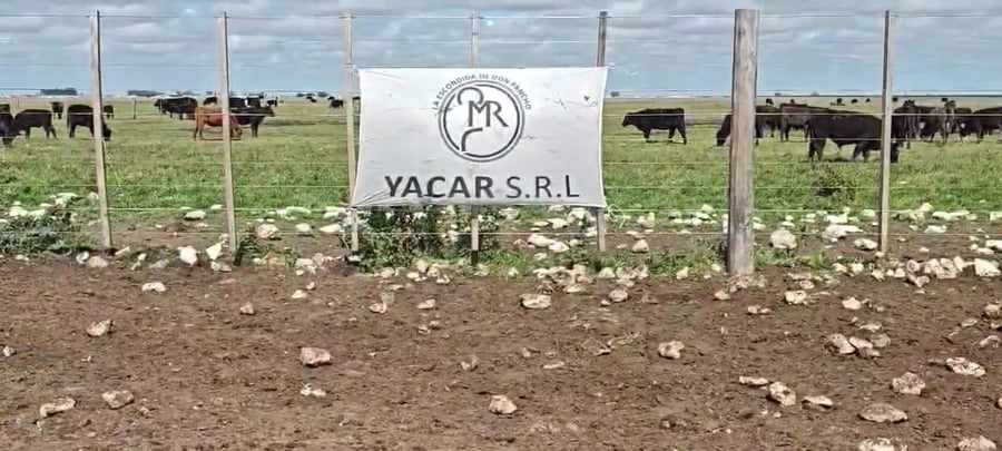 Lote M Y H- Olavarría Bs As
