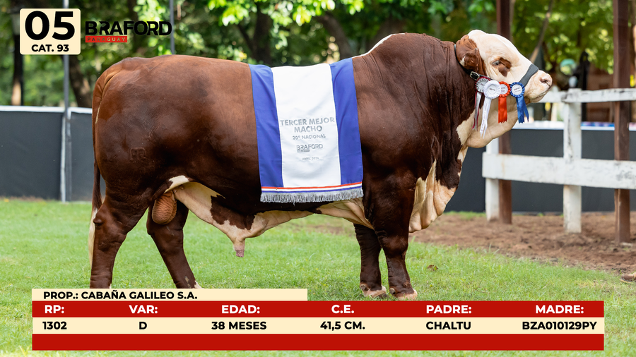 Lote LOTE 5-  CAT 93