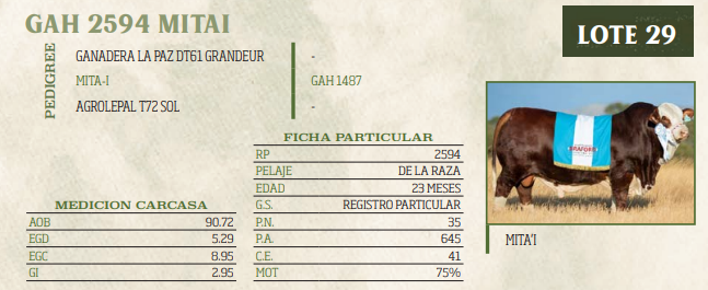 Lote LOTE 29