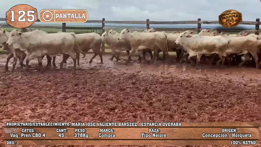 Lote LOTE 125 - PANTALLA