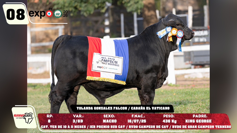 Lote LOTE 8