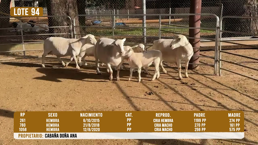 Lote LOTE 94