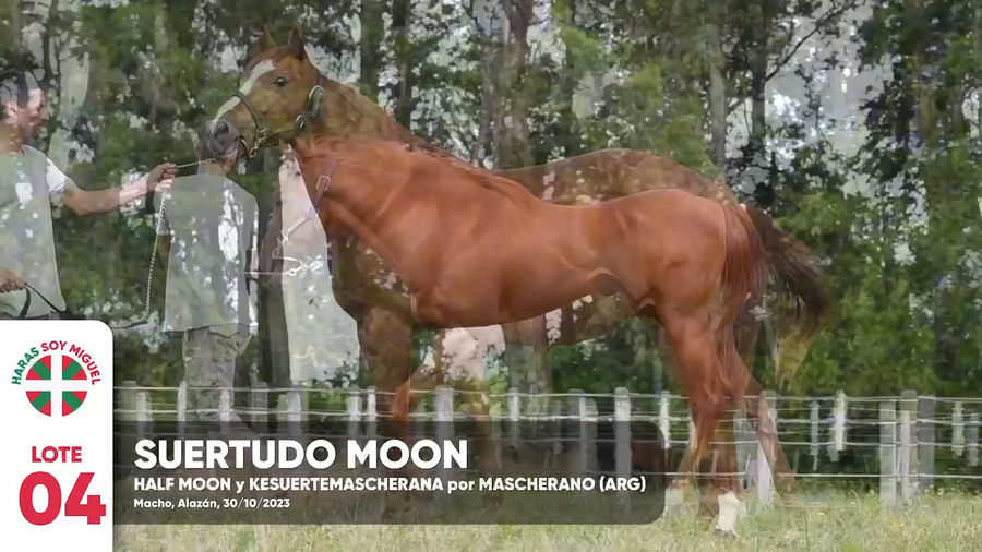 Lote SUERTUDO MOON