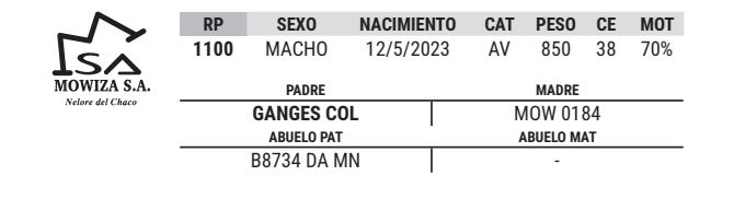 Lote LOTE 42