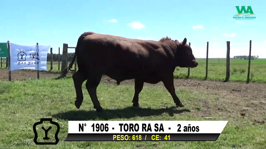 Lote TORO Nº 1906