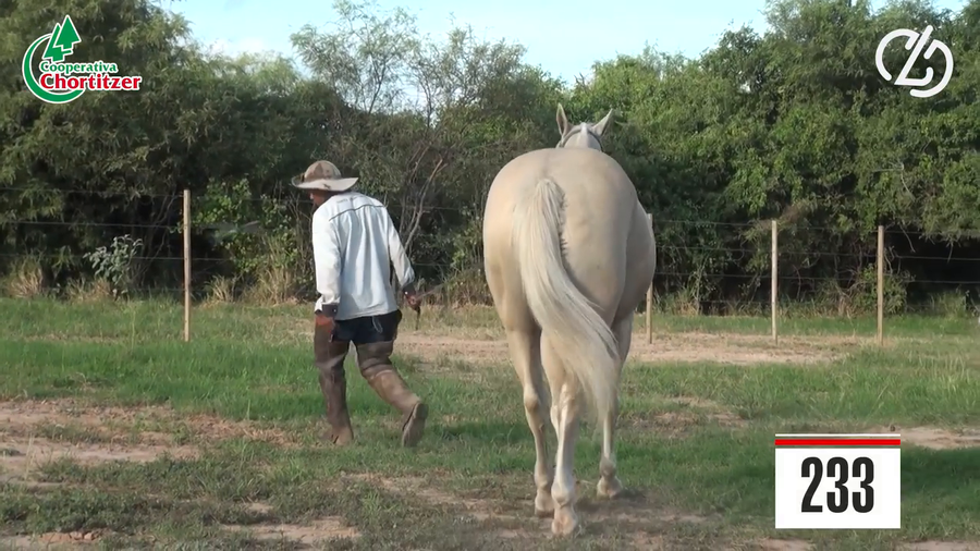 Lote Cuarto de Milla