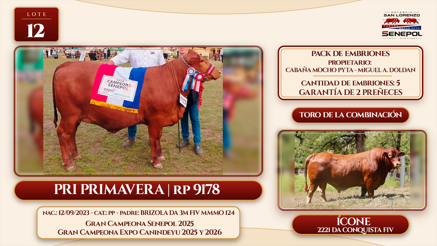 Lote LOTE 12
