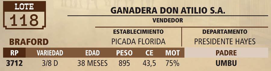 Lote LOTE 118 - VIVO
