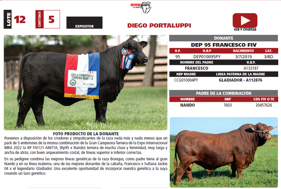 Lote LOTE 12