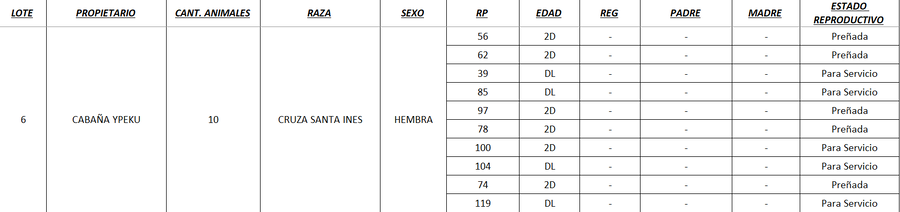 Lote LOTE 6 - POR PANTALLA