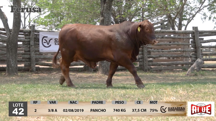 Lote Ganadera Santa Cecilia - Lote 42