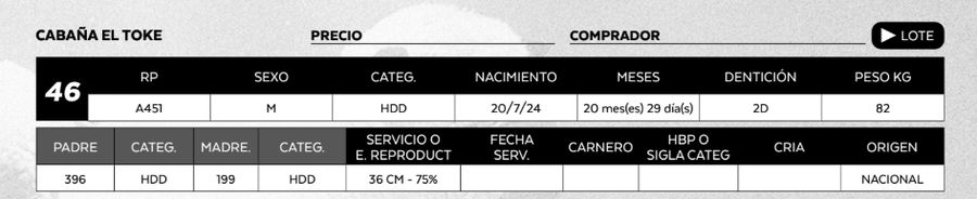 Lote LOTE 46