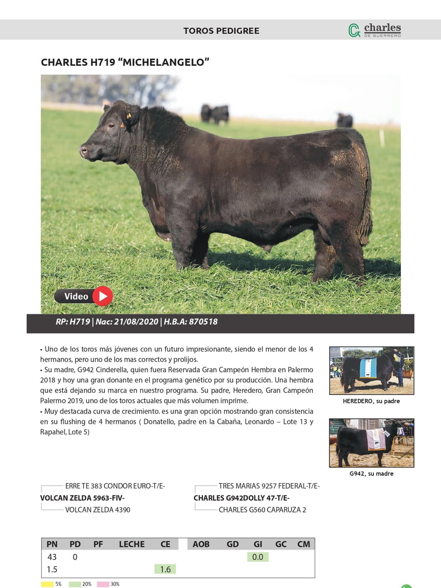 Lote TOROS PEDIGREE