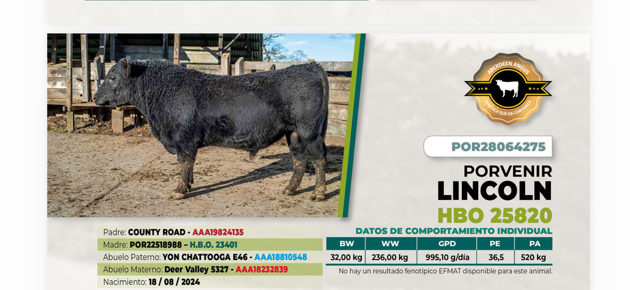 Lote 1 Toro LINCOLN DIIO 4275