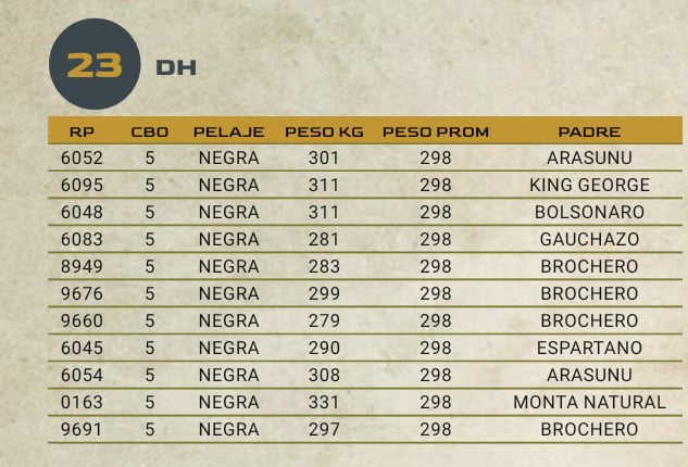Lote LOTE 23