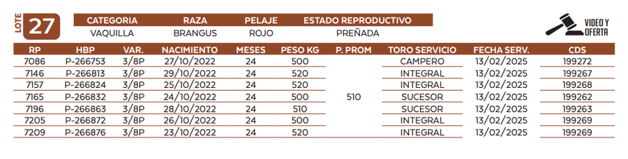 Lote LOTE 27