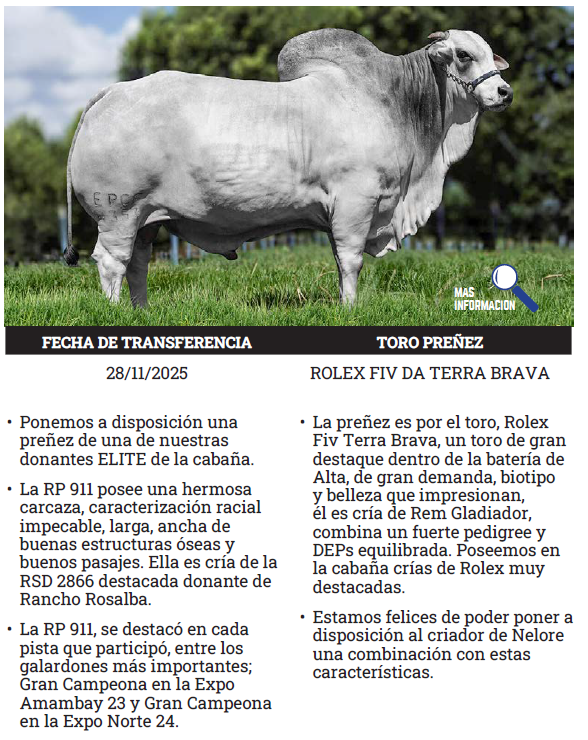 Lote LOTE 5 - PREÑECES