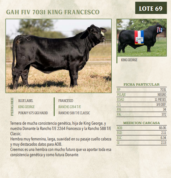 Lote LOTE 69