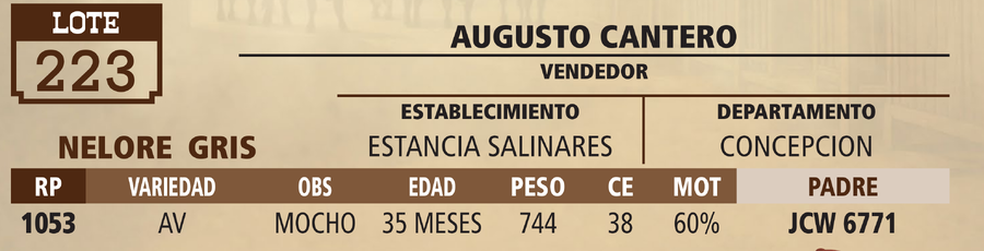 Lote LOTE 223 - PANTALLA