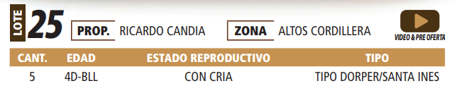 Lote LOTE 25 -POR PANTALLA