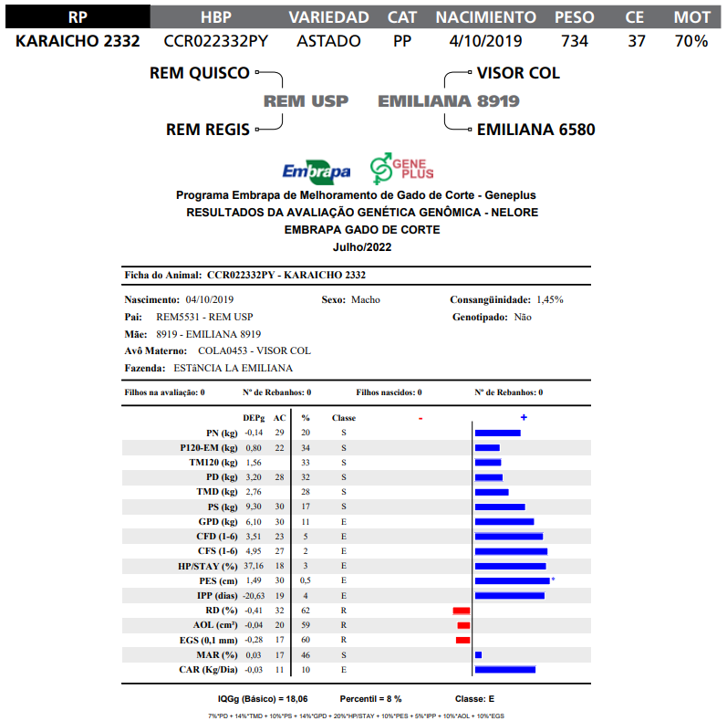 Lote LOTE 23 RP 2332