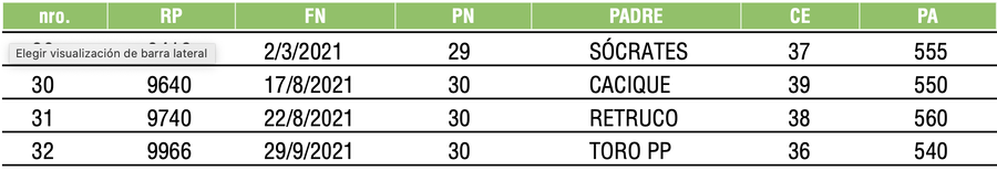 Lote TOROS ANGUS COLORADOS PC