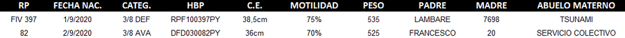 Lote LOTE 59 - DUO