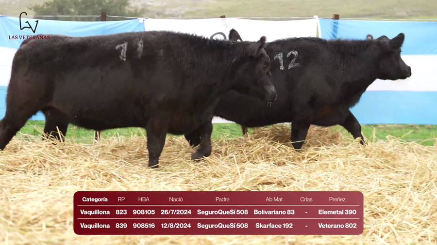 Lote RP 839