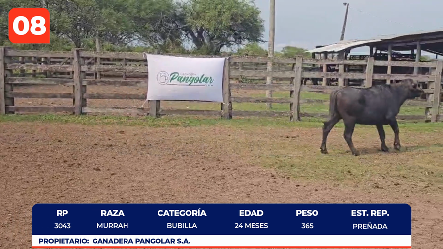 Lote LOTE 8
