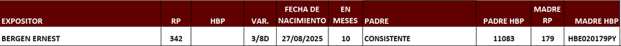 Lote LOTE 5