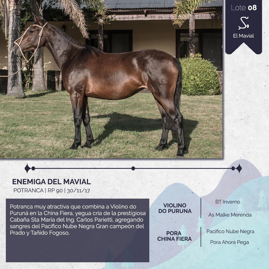 Lote ENEMIGA DEL MAVIAL