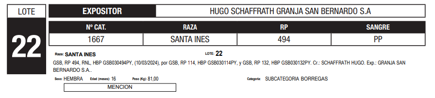 Lote LOTE 22