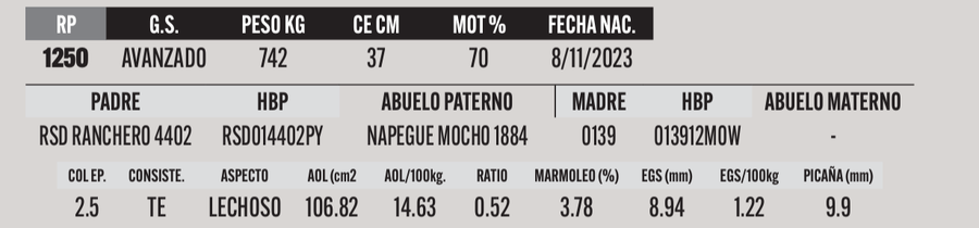 Lote LOTE 11